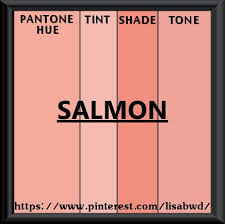 Pantone Seasonal Color Swatch Salmon Pantone Colour