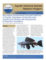 When first started, our focus was on the huge, and continuing trend of water gardening in the u.s. Pdf Non Native Suckermouth Armored Catfishes In Florida Description Of Nest Borrows And Burrow Colonies With Assessment Of Shoreline Conditions