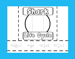 Not only will printable questions provide terrific party concepts, but they are also a terrific method to keep track of all of your kids' questions. Shark Life Cycle Activities And Resources Plus A Free Printable