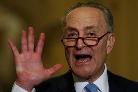 Democratic leader Schumer emerges as Trump's newest punching bag