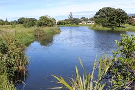 Resident wants Waimanu Lagoons flushing delay to protect fledglings