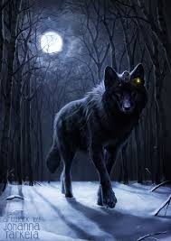 Pin by tofazzule karim on anime art wolf boy anime anime wolf anime art beautiful. Alpha Anime Black Wolves