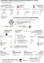 Dna analysis is the name given to the interpretation of genetic sequences, and can be used for a wide variety of purposes. Biological Evidence Analysis In Cases Of Sexual Assault Intechopen
