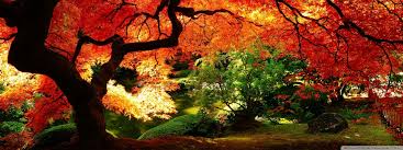 .dual monitor screensaver dual monitor wallpaper flowers panoramic dual monitor desktop spring dual monitor mountain widescreen dual monitor wallpaper 4k aesthetic wallpapers japan cool anime dual monitor wallpaper top suggestions for dual monitor wallpaper japan. Autumn Dual Monitor Wallpapers Wallpaper Cave