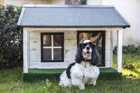 My mom's dog, a husky named sky, is getting her own dog house this year for christmas, so along with a huge bone, she will be getting a mr. The Best Heated Dog Houses For Dogs In Winter The Dog People