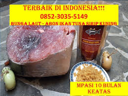 Terbaik Di Klaten 0852 3035 5149 Mpasi 7 Bulan Ikan Salmon Klaten Salmon Makanan Ikan