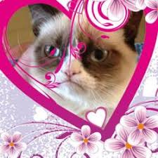 See more ideas about valentines memes, memes, meme valentines cards. Grumpy Cat Valentines Day Meme Generator Template