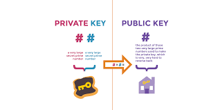 Cryptographic techniques are the main authentication mechanisms which can be arranged into symmetric cryptography (also called secret key cryptography), asymmetric cryptography (also known as public key cryptography pkc. A Deep Dive On End To End Encryption How Do Public Key Encryption Systems Work Surveillance Self Defense