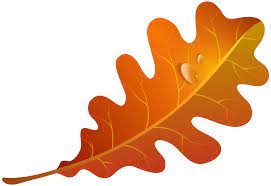 Found On Bing From Moziru Com Clip Art Free Clip Art Orange Leaf