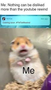 I hamsterbillede app finder du alle søde hamsterbilleder og. Funny Pfp For Tiktok Hamster Novocom Top