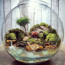 Pin Di Alberto Giannini Su Giardini8 Nel 2020 Terrario Per Piante Grasse Piante Da Terrario Idee Vasi Giardino