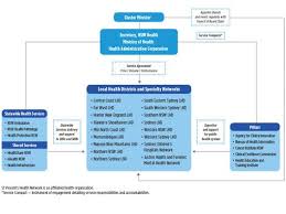 Our Organisation Chart Nsw Health Health Chart