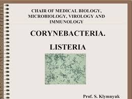 Most patients recover if properly treated with diphtheria antitoxin. Corynabacteria Listeria