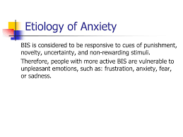 Chapter 6 Anxiety Disorders Bilge Yagmurlu Psyc Ppt Download