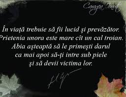 Cati dintre ei crezi ca isi vor. Prieteni Falsi Home Facebook