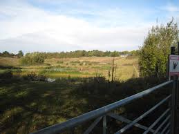 residents visit kesgrave quarry  lbpc