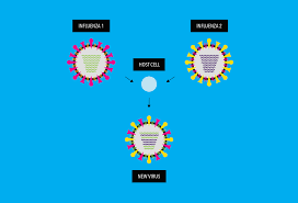 Coronavirus continues to sweep across the world with confirmed cases reported in more than 80 countries. How Do Viruses Mutate And What It Means For A Vaccine Breakthroughs