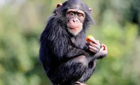 Sassy poonam latest porn video regular visitors less