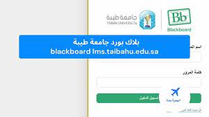 تسجيل بلاك بورد جامعة طيبه. Ø¨Ù„Ø§Ùƒ Ø¨ÙˆØ±Ø¯ Ø¬Ø§Ù…Ø¹Ø© Ø·ÙŠØ¨Ø© Blackboard Lms Taibahu Edu Sa Ø§Ù„Ù‡Ø¬Ø±Ø© Ù…Ø¹Ù†Ø§