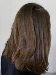 Neue Gute Frisuren Fur Dickes Mittellanges Haar Neue Haare Modelle Braune Haare Frisuren Mittellange Haare Frisur Dicke Haare