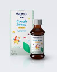 Hyland'S Naturals Kids Cold & Cough Daytime Liquid, Grape Grape | Walgreens