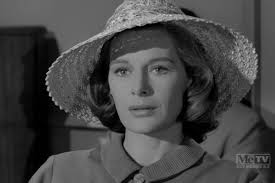 Perry Mason" The Case of the Potted Planter (TV Episode 1963)