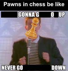 Menariknya, ketika palmer mengumumkan logo meme populer shiba inu sebagai ikonnya, ia menuai banyak tanggapan positif. The Best Chess Memes Memedroid