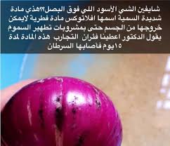 مراعاة مسافات الزراعة لضمان التهوية الجيدة للنباتات وكذلك توافر الإضاءة. Ø§Ù„ØºØ°Ø§Ø¡ ÙˆØ§Ù„Ø¨ÙŠØ¦Ø© On Twitter Ø§Ù†ØªØ´Ø±Øª ØµÙˆØ±Ø© ØªØ­Ø°Ø± Ù…Ù† Ø§Ù† Ø§Ù„Ø¹ÙÙ† Ø§Ù„Ø§Ø³ÙˆØ¯ Ø¨Ø§Ù„Ø¨ØµÙ„ Ù‡Ùˆ Ø§ÙÙ„Ø§ØªÙˆÙƒØ³ÙŠÙ† ÙˆØ§Ù„Ø­Ù‚ÙŠÙ‚Ø© Ø£Ù†Ù‡ Ø¹ÙÙ† ÙØ·Ø± Ø£Ø³Ø¨Ø±Ø¬ÙŠÙ„Ù„ÙˆØ³ ÙˆØºØ§Ù„Ø¨Ø§Ù„Ø§ ÙŠÙ†ØªØ¬ Ø³Ù…ÙˆÙ… Ø£ØºØ³Ù„Ù‡ Ø¨Ø§Ù„Ù…Ø§Ø¡ Ø£Ùˆ Ø§Ø²Ù„ Ù‚Ø´Ø±Ù‡ Ø¹ÙˆØ§ÙÙŠ Https T Co 96w1i4u2p5
