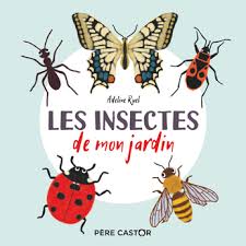 Conseils sur la peinture des insectes du livre 'jardin du grain de moutarde'. Les Insectes De Mon Jardin De Adeline Ruel Editions Flammarion Jeunesse