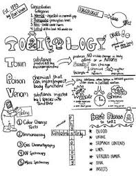 Toxicology Sketch Doodle Notes Student Notes Incl Fib Version School Organization Notes Science Notes Doodle Notes