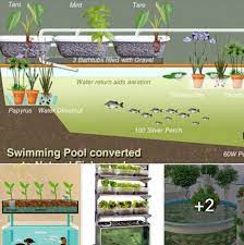Robert Hoskins Twitterren Off Grid Living How To Make An Aquaponic Garden And Large Fish Holding Tank See More Aquaponic Garden Photos Https T Co My3x7vdw7q Offgridliving Livingoffgrid Aquaponics Fish Garden Biofilter Bellsiphon Led Grow