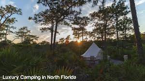 Maybe you would like to learn more about one of these? Florida Beach Camping Guide Find The Perfect Beach Campground Visit Florida