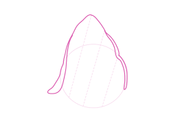 The list of anime cats is ordered randomly. How To Draw Animals Cats And Their Anatomy