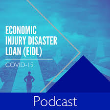 Covid 19 The Economic Injury Disaster Loan An Overview Hawkins Ash Cpas
