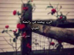 الورد يبحث عن رائحته فعودي شادي قاسو We Heart It Beautiful Arabic Words Valentines Wallpaper Arabic Quotes