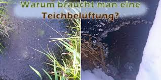 Der teichbelüfter ist für den einsatz in teichen, schwimmteichen, fischteichen usw. Teichbeluftung Fur Sommer Und Winter Selber Bauen Bauanleitung Teichfilter
