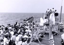 Image result for Blu Fiordo 1976 Fleet