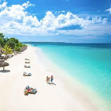 Clarissa Arispe and Thomas Sisca's Wedding Registry