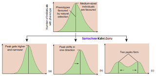 Natural selection can cause a trait variation to become more or less common in a population over. Samacheer Kalvi 12th Bio Zoology Solutions Chapter 6 Evolution Samacheer Kalvi