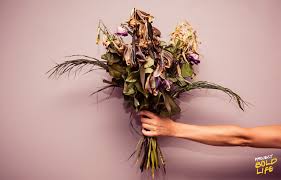 Saying sorry with flowers has come a long way; Why Dead Flowers Are The Best Flowers And A Sign Of Excellence