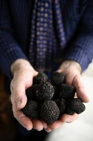 Check spelling or type a new query. Truffles