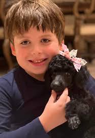 Update from Khaleesi's Furever Mommy… Khaleesi is, according to my vet,  (and owner of 5 standard poodles), PERFECT!! She's doing amazing and we are  absolutely smitten with her ❤️. THANK YOU for