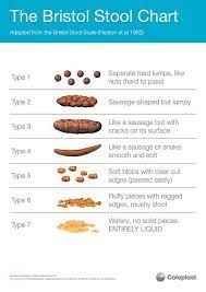 (see the chart at the bottom of the page). Bristol Stool Chart What Does Poo And Bowels Say About Health