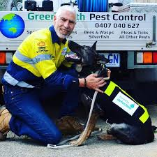 Kilter provides exceptional termite and pest control for orange county, california. Green Earth Pest Control 12 Frederick St Shoalwater Wa 6169 Australia
