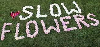 We place ourselves at a junction. Slow Flowers Industry Insights Trends Johnny S Selected Seeds