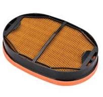 Amazon.com: FLTRUCKTOP 2277449 2277448 Engine Air Filter ...