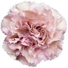 Pin On Floral Greens Board