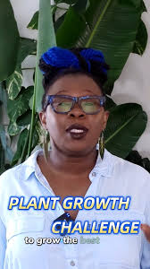 I took part in a 10-month plant challenge to grow the best $20 plant I  could, and I chose a Philodendron Autumn Queen! 🌱, It’s been such an  exciting journey seeing the progress month by month. Huge ...