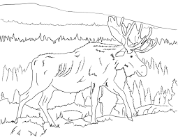 This coloring page can be used in a social studies or humanities class, for canada day, or for whatever you choose. Coloring Pages Museum Of Archaeology Ethnology Simon Fraser University
