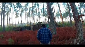 Dit zijn gewoon een beetje klassiek voorbeelden waarom de meeste mensen liever films downloaden of films online bekijken. Reportage Palombiere Landaise 2016 2017 Youtube